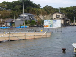 SH3J0078.jpg
